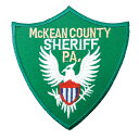 【アパレルスタッフセレクト】ワッペン アイロン McKEAN COUNTY USA エンブレム 紋章 ミリタリー グリーン アップリケ わっぺん アイロンで簡単...