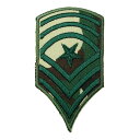 【アパレルスタッフセレクト】ワッペン アイロン アップリケ ミリタリー 迷彩 カモフラ 紋章 エンブレム 軍物 wappen アイロンで簡単貼り付け 1000円...