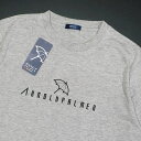 アーノルドパーマータイムレス 服 メンズ ●送料390円可能商品 アーノルドパーマー ARNOLD PALMER 新品 メンズ シンプル 半袖 Tシャツ 灰 Mサイズ [4991865T-01-M]一 三 壱★QWER★