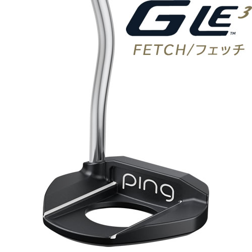 PING ǥ ѥ GLe3 եå FETCH ե  륤3 Ѥ ४