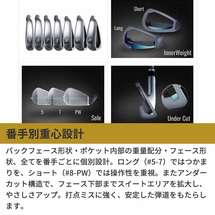 (カスタムクラブ)イオンスポーツ ジニコ EON GINNICO PC IRON N.S.PRO ZELOS 6 6I～PW(5本セット)アイアン