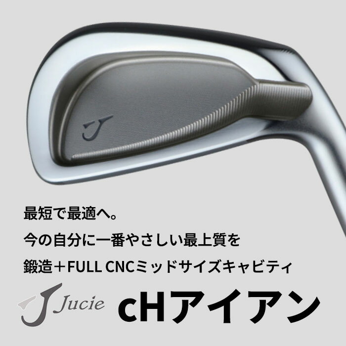 (カスタムアイアン)ジューシー JUCIE cH IRON 単品N.S.PRO 750 neo