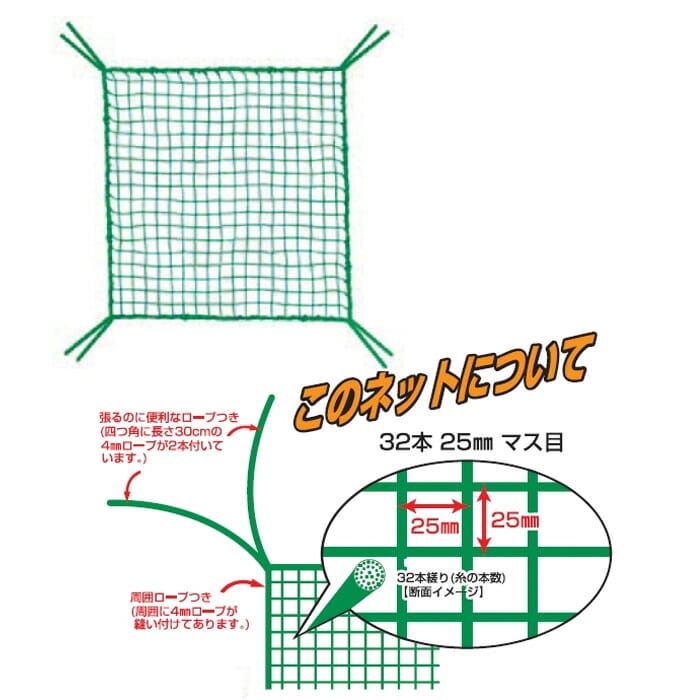 サンプル画像2