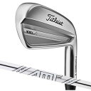 y[J[JX^zTitleist ^CgXg 2023 T100 ACA Dynamic Gold AMT TOUR WHITE Pi