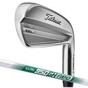 【メーカーカスタム】Titleist タイトリスト 2023 T100 アイアン