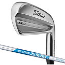 y[J[JX^zTitleist ^CgXg 2023 T100 ACA N.S.PRO ZELOS 6 5I`PW(6{Zbg)