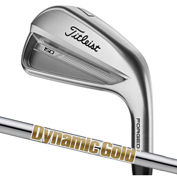 【メーカーカスタム】Titleist タイトリスト 2023 T150 アイアン DYNAMIC GOLD 95/105/120 5I～PW(6本セット)