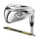 y[J[JX^zTitleist ^CgXg NEW T400 ACA DG EX TOUR ISSUE Pi