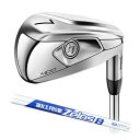 y[J[JX^zTitleist ^CgXg NEW T400 ACA N.S.PRO ZELOS 8 Pi