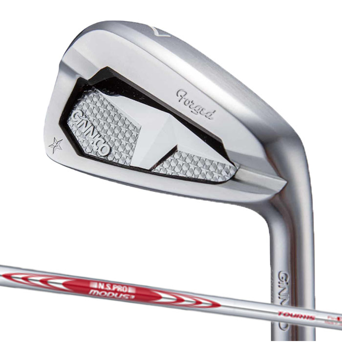 Rakuten - 【スーパーセール限定！2人に1人最大P300%バック】(カスタムクラブ)イオンスポーツ ジニコ EON GINNICO PC IRON N.S.PRO MODUS3 TOUR 115 6I〜PW(5本セット)アイアン