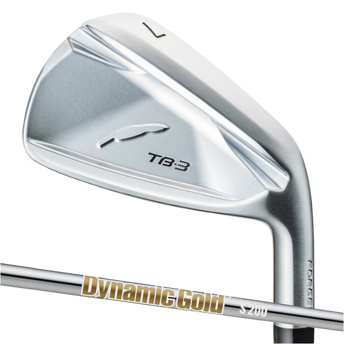 【メーカーカスタム】FOURTEEN フォーティーン TB-3 FORGED IRON EASY Dynamic Gold HT単品 ピュアフォージド