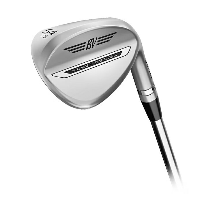 TITLEIST - 【マラソン限定！2人に1人最大P100%バック】タイトリスト TITLEIST VOKEY DESIGN SM11 TOUR CHROME ウェッジ ダイナミックゴールド シャフト ボーケイ ゴルフ ウェッジフレックス 軟鉄