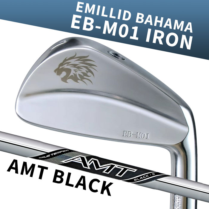 (カスタムアイアン) エミリッドバハマ EB-M01 IRON AMT BLACK 6I~PW(5本セット) EMILLID BAHAMA