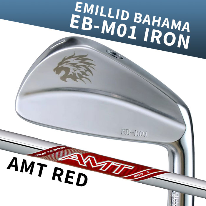 (カスタムアイアン) エミリッドバハマ EB-M01 IRON AMT RED 6I~PW(5本セット) EMILLID BAHAMA