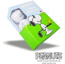 【プレゼントにもGOODな特別プライス!】.ジョー・クール/スヌーピーゴルフボールDON'T GO TO WORK TODAY2ピース/6個入りPEANUTS 642-3984105/23C