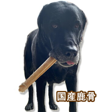 無添加国産　鹿足骨大 鹿の骨 1本 ロング 犬のおやつ　骨のおやつ 犬のおやつ ボーン 鹿の角好きに！低アレルギーおやつ5000円（税抜）以上送料無料！/【RCP】