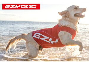 メール便可！大型犬用 EZYDOG ラッシュガード XL ウエットスーツ　ラッシュ　ガード　ペット用（ドッグ）　イージードッグ　紫外線対策に！水着/【RCP】 【開店セール1212】