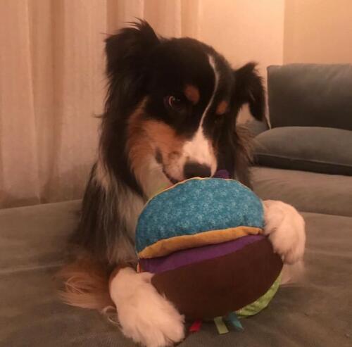 ���������ܡ��롡L�����������Τ�����㡡�ץ�åġ������㥫���㡡�Ĥ�ū���ơ��ס����᤭���ڤ���������㡡�������������淿�����緿��