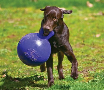 正規品 大型犬用　丈夫なおもちゃ　ジョリーボール Lサイズ　馬のおもちゃ　5000円（税抜）以上送料 ...