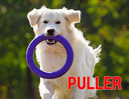 お試し！1個　大型犬用 Lサイズ　丈夫なおもちゃ　PULLER プラー リング スタンダード　輪のお ...