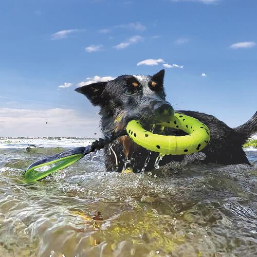 コング　リフレックスタグ　KONG Reflex Tug　大型犬　おもちゃ　水遊びにも最適規...
