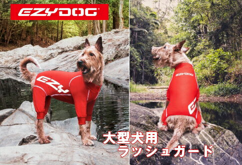 メール便可！大型犬用　ezydog ロングスリーブドッグラッシュガード XL XXL犬用 ウエットスーツ　ラッシュ　ガード　ペット用　イージードッグ　イージードック 水着