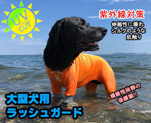 犬用水着｜大型犬向けラッシュガードなどのおすすめランキング｜モノスポ