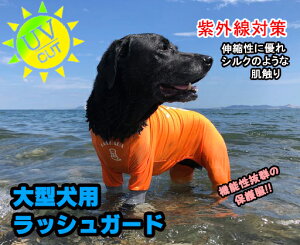犬用水着｜大型犬向けラッシュガードなどのおすすめを教えて欲しい！