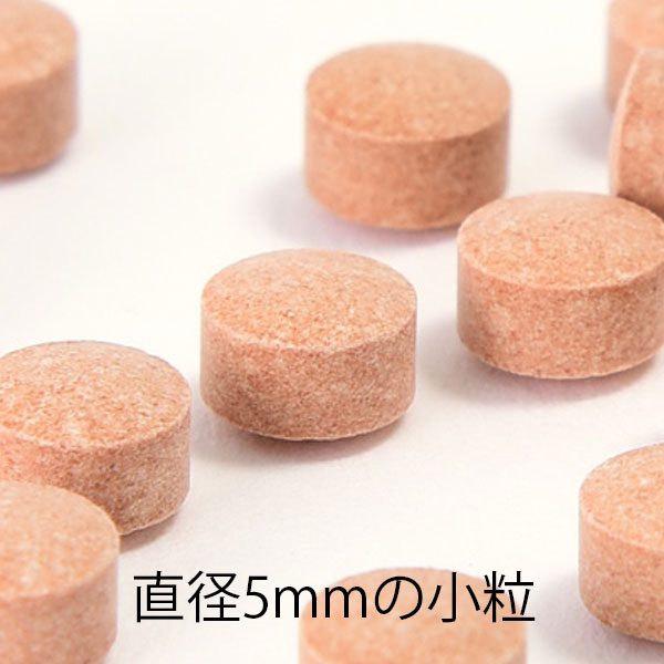 パンフェノン120粒　酵素の極み100gプレゼント！　犬・猫の心臓・皮膚・被毛・目を健康に維持するサプリメント　犬 ドッグ サプリメント ペット　シニア　犬用健康補助食品 auc-golpara-10001914 GOLPARA 〜ゴルパラ〜 サンプル画像3