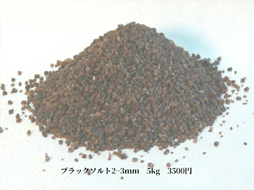 【お買い得】【税込・送料無料】 [5kg] 食用 ブラックソルト 2-3mm 粒状 ヒマラヤ山脈で採れた天然ヒマラヤ岩塩 国内洗浄・国内食品検査済 [熱中症対策やバスソルトにも]