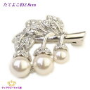 タイムセールB 66%OFF 【 送料無料 】 ブローチ スワロフスキー パール レディース 木の実 フルーツ 結婚式 レディスアクセサリー htr14b-03 入学式 卒業式 キャッシュレス ポイント 還元