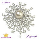 送料無料 ブローチ フォーマル パール 花 コサージュ 結婚式 パーティー 放射線 花火 華やか ブラック 黒真珠 真珠 ホワイト シルバー mz12b-01 入学式 卒業式 ステージ アクセサリー カラオケ ギフト プレゼント(4)