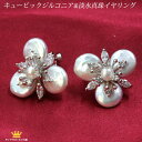 全品 送料無料イヤリング おしゃれ 痛くない ドレス 結婚式 パーティー お呼ばれ シルバー キュービックジルコニア シェル 貝 ゴージャス ステージ アクセサリー カラオケ ギフト プレゼント dr19e-03