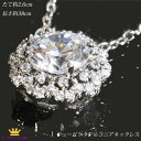 全品 送料無料 ゴージャス キュービックジルコニア ネックレス フラワーモチーフ CZダイヤ(キュービックジルコニア) mor10n-04 ステージ アクセサリー カラオケ ギフト プレゼント mor10n-04-reserve(4)