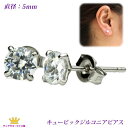 全品 送料無料 ピアス おしゃれ レディース シンプル キラキラ 綺麗 直径5mm 丸 キュービックジルコニア ポイント消化 パーティー 結婚式 ウェディング ドレス お呼ばれ ステージ アクセサリー カラオケ ギフト プレゼント vic7-p01-super(4)