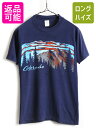 【7/9 最大半額SALE&ポイント5倍!!】 ■返品不可■80's ビンテージ ■ ロッキー山脈 プリント 半袖 Tシャツ ( 男性 メンズ S 程) 古着 ...