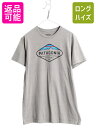 パタゴニア プリント 半袖 Tシャツ メンズ L 17年製 アウトドア フィッツロイ クレスト グラフィック オーガニック コットン スリム グレー| 古着 中古 Patagonia 半袖Tシャツ プリントTシャツ ロゴTシャツ プリントT ロゴT カットソー アート イラスト シンプル トップス 灰
