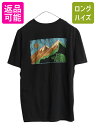 【7/27 24h限定ポイント5倍!】 ノースフェイス 両面 プリント 半袖 Tシャツメンズ M 古着 アウトドア アート イラスト グラフィック バックプリント カットソー ブラック| 中古 The North Face 黒 半袖Tシャツ プリントTシャツ ロゴTシャツ プリントT ロゴT クルーネック シ