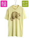 70s USA製 アライグマ イラスト プリント Tシャツ L メンズ レディース 小さめ M 程 ヴィンテージ アニマル グラフィック シングルステッチ| 古着 中古 70’s 70年代 アメリカ製 ビンテージ アート 半袖Tシャツ プリントTシャツ プリントT アートTシャツ カットソー イエロー