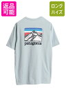 【7/27 24h限定ポイント5倍!】 パタゴニア ポケット付き 両面 プリント 半袖 Tシャツ メンズ S 20年製 アウトドア ポケT グラフィック アート バックプリント カットソー| 古着 中古 Patagonia 半袖Tシャツ プリントTシャツ ポケットTシャツ クルーネック イラスト レスポン