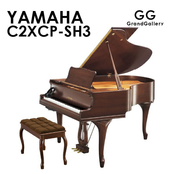 【新品ピアノ】YAMAHA(ヤマハ)C2XCP-...の商品画像