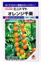 1割引き!ミニトマトオレンジ千果18粒タキイ交配