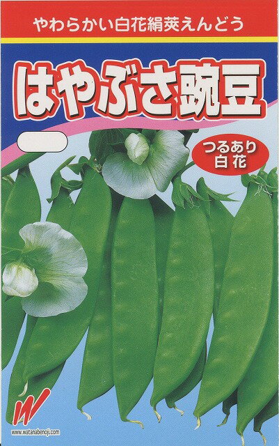 さやえんどう はやぶさ (きぬさや) 25ml 渡辺農事(株)