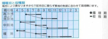 からし菜サラダだよ ピリッと辛く体によい万能菜6mlタカヤマシード