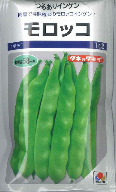 豆類　いんげんモロッコ　1dlタキイ