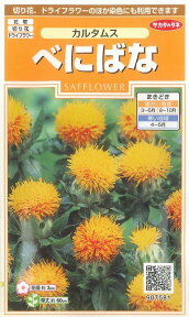 花の種　べにばな　カルタムス　約22粒　（株）サカタのタネ　実咲