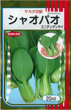 中国野菜　シャオパオ（ミニチンゲンサイ）20ml　（株）サカタのタネ