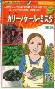 野菜種イタリア野菜カリーノケール・ミスタ 40粒トキタ種苗 野菜種イタリア野菜カリーノケール・ミスタ 40粒トキタ種苗