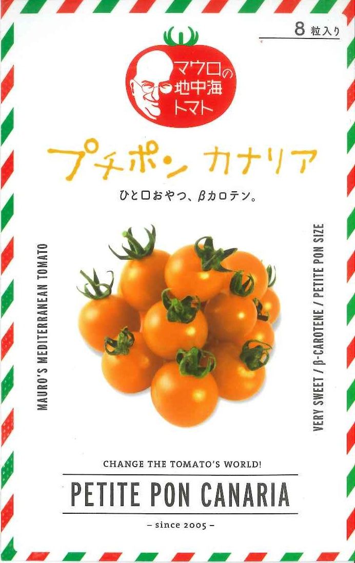 トマト　マウロの地中海トマトプチポン　カナリア　1000粒　パイオニアエコサイエンス　