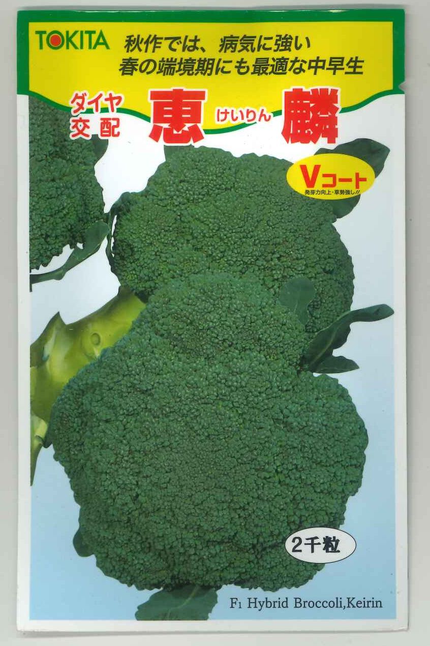 ブロッコリー 恵麟 2000粒 トキタ種苗(株)